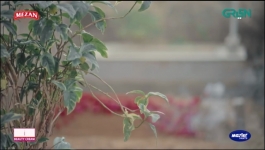 Gentleman - Episode 24